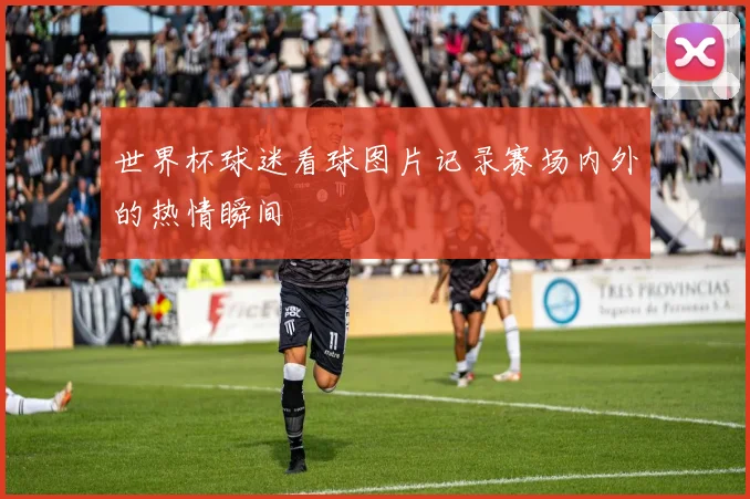 世界杯球迷看球图片记录赛场内外的热情瞬间