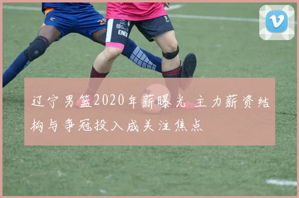 辽宁男篮2020年薪曝光 主力薪资结构与争冠投入成关注焦点