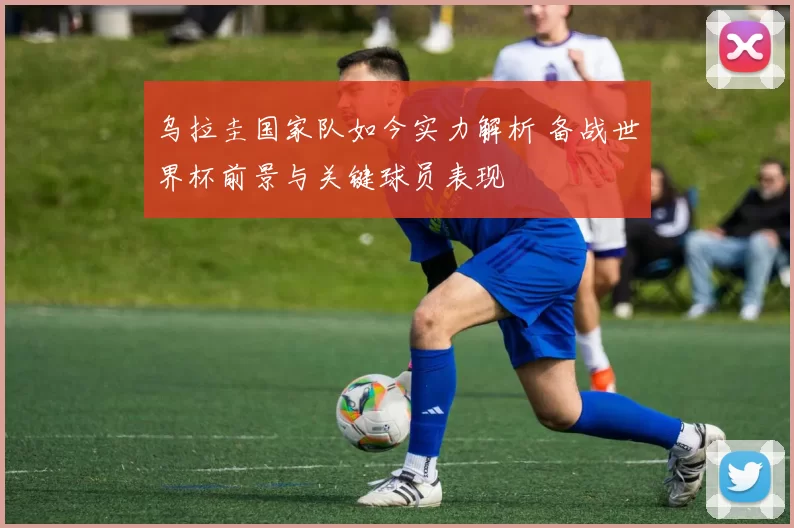 乌拉圭国家队如今实力解析 备战世界杯前景与关键球员表现