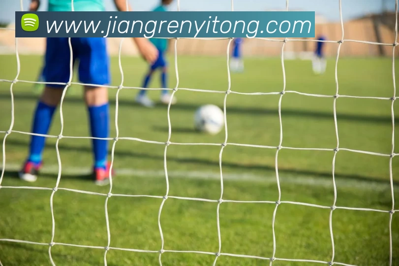 mksports体育 - mk(中国)一站式服务官方网站服务体系